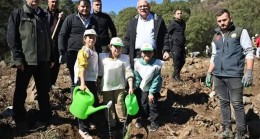 Başkan Avcıoğlu Ağaç dikti
