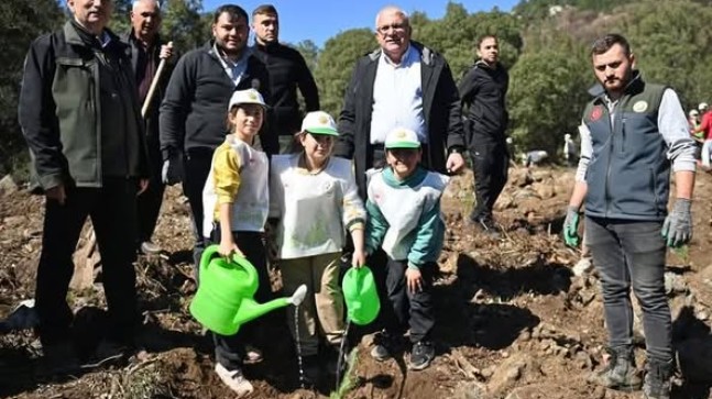 Başkan Avcıoğlu Ağaç dikti