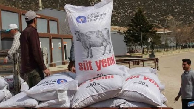 Büyükşehir’in üreticilere yem desteği sürüyor