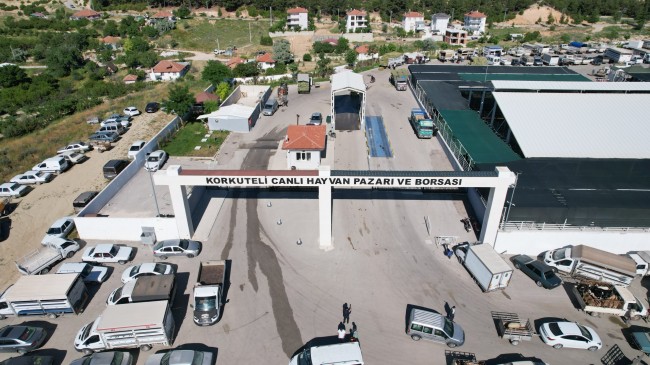 Korkuteli Hayvan Pazarı’nda Kurbanlık Satışları Başladı